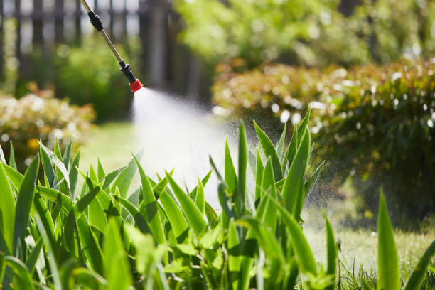 24/7 Emergency Cockroach Control experts in Silsbee, TX