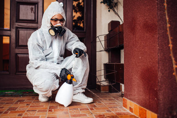 Reliable Cockroach Control contractor in Silsbee, TX by Nex Pest Control